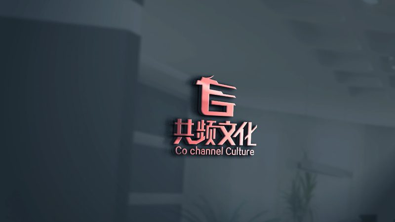 揭秘同城生活类短视频代运营：报价背后的考量因素