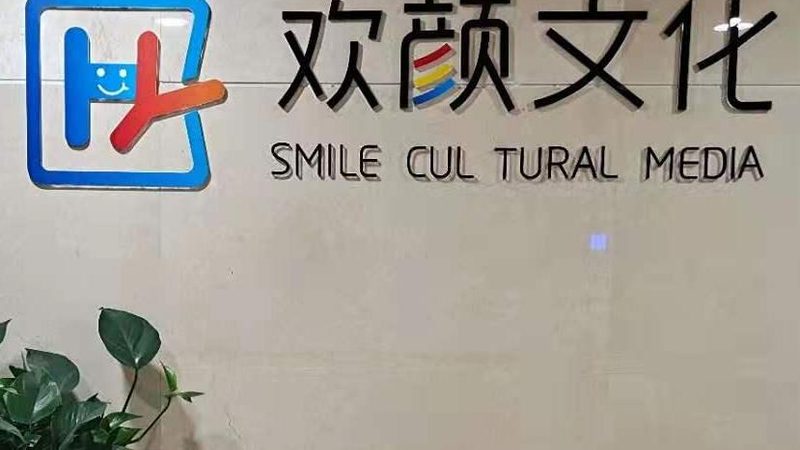MG动画与Flash：优缺点对比解析