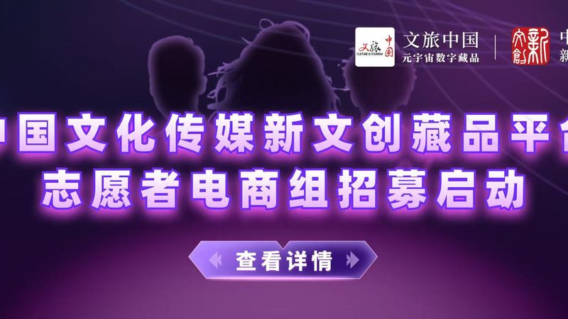 媒介投放模型参数解析：解码精准营销的关键